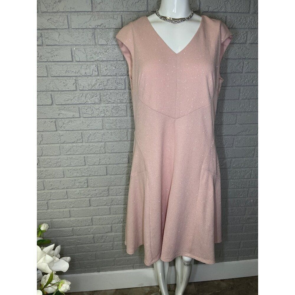 Roz & Ali Women Blush Shimmering Sleeveless Fit & Flare Dress Size 14 <3